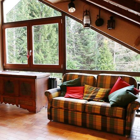 Fewo Schwarzwaldblick, 3 Schlafzimmer Todtnau-Muggenbrunn, Liftverbund Feldberg Bagian luar foto