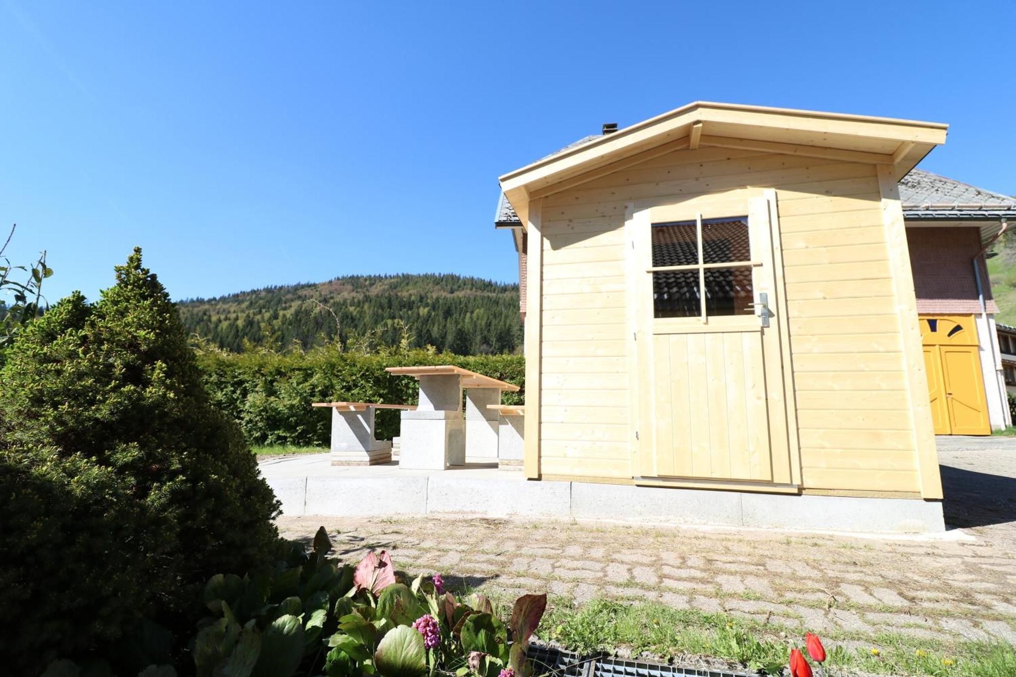 Fewo Schwarzwaldblick, 3 Schlafzimmer Todtnau-Muggenbrunn, Liftverbund Feldberg Bagian luar foto