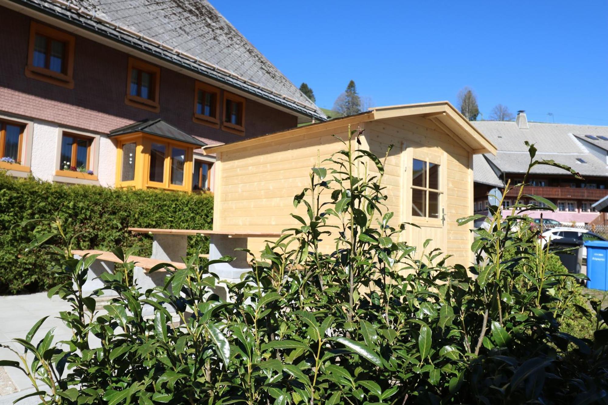 Fewo Schwarzwaldblick, 3 Schlafzimmer Todtnau-Muggenbrunn, Liftverbund Feldberg Bagian luar foto