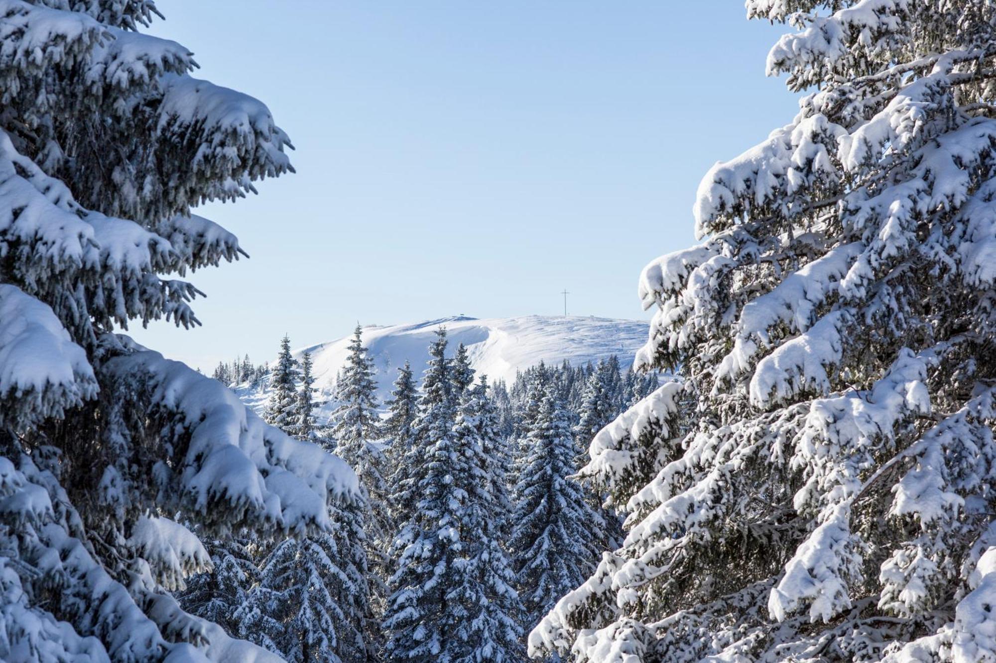 Fewo Schwarzwaldblick, 3 Schlafzimmer Todtnau-Muggenbrunn, Liftverbund Feldberg Bagian luar foto