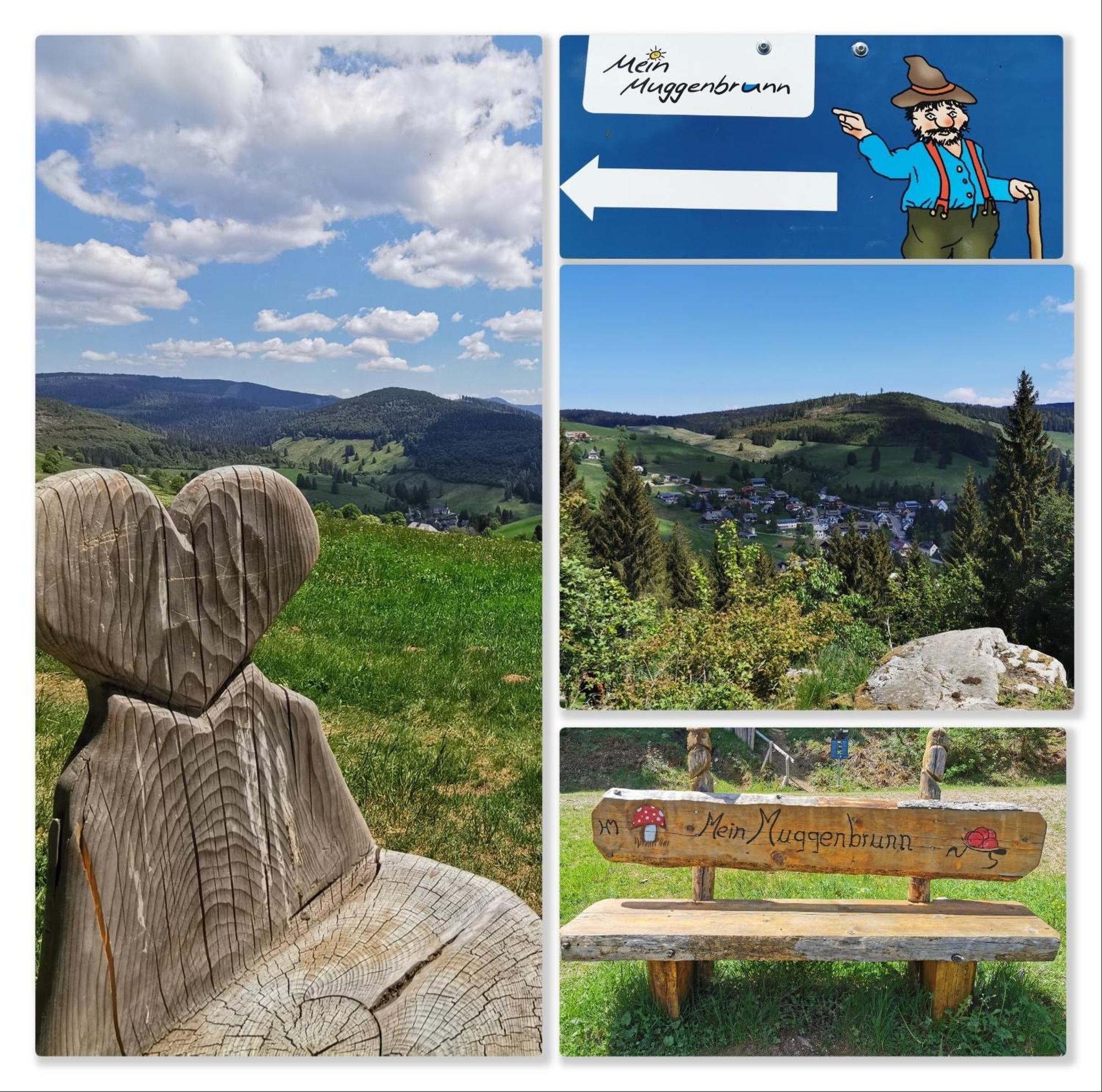 Fewo Schwarzwaldblick, 3 Schlafzimmer Todtnau-Muggenbrunn, Liftverbund Feldberg Bagian luar foto